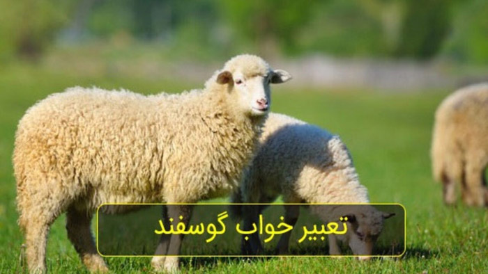تعبیر خواب گوسفند