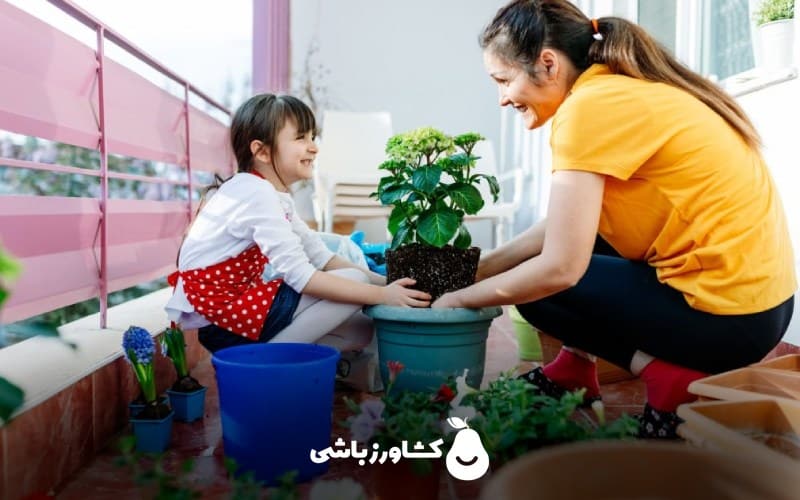 راهنمای خرید بهترین بذر گل و گیاه زینتی مخصوص آپارتمان