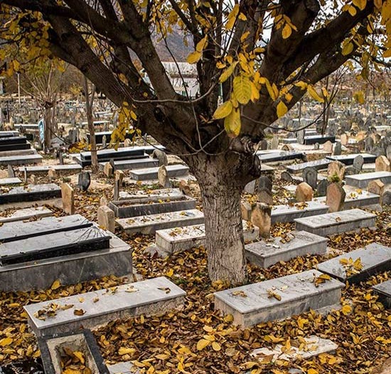 سنگ قبر هایی که خودشان را تغییر می دهند پدیده ای که دانشمندان را مات کرد